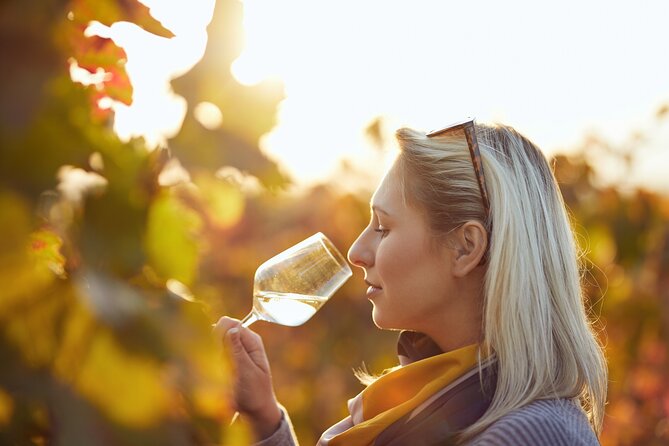 Douro Valley: Historical Sites, Wine Experience, Lunch & Cruise - Pinhão vineyard estate walk and the three-wine tasting