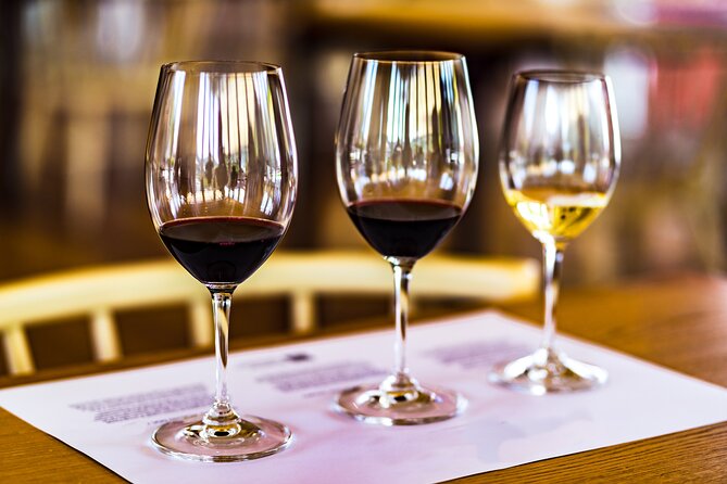 Douro Valley: Historical Sites, Wine Experience, Lunch & Cruise - Group size, guide style, and the small details that shape your day