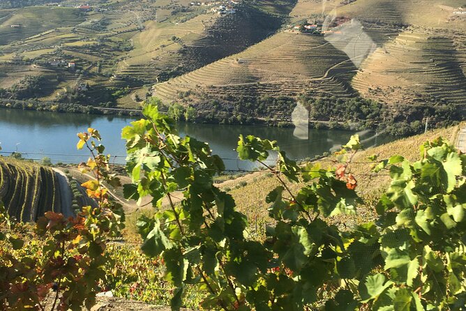 Douro Valley in off road - Private Tour - Key highlights you will feel right away