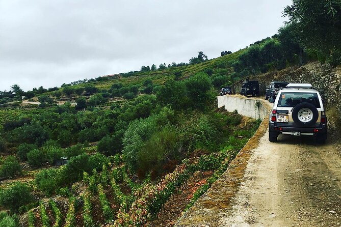 Douro Valley in off road - Private Tour - Why this off-road Douro day feels different from a standard wine trip