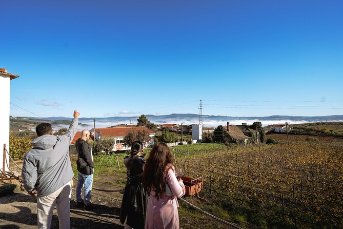 DOURO VALLEY: Lunch in a winery, tastings & 1-h private boat tour - Winery tastings: how you get flavor without the tourist machine feeling