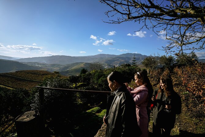 DOURO VALLEY: Lunch in a winery, tastings & 1-h private boat tour - Lunch in Peso da Régua: wine pairing with actual food