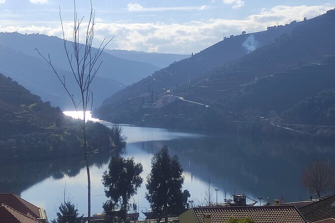 Douro valley Majestic - Stop 2: Ervedosa do Douro, off-the-main-road food and doc wines