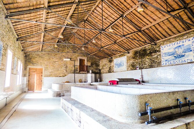 Douro Valley Pinhao Quinta da Foz Tour and Tasting 5 Wines - The Main Event: Vinification at Quinta da Foz