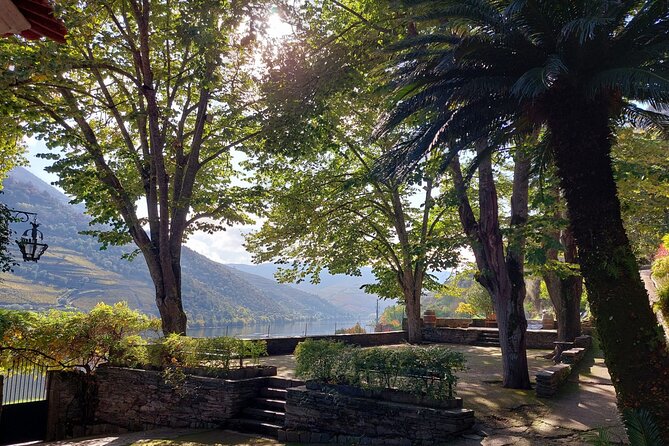 Douro Valley Pinhao Quinta da Foz Tour and Tasting 5 Wines - The Cellar Stop: Aging Top Reds, Whites, and Port