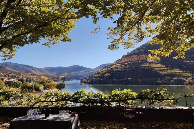 Douro Valley Pinhao Quinta da Foz Tour and Tasting 5 Wines - The Tasting: 5 Wines Plus Extra Virgin Olive Oil