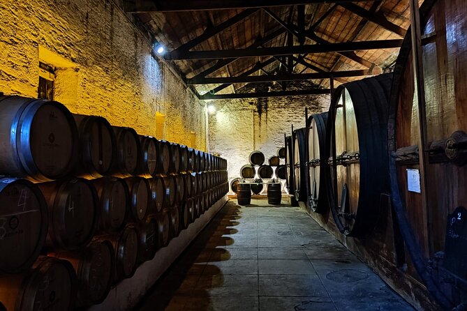 Douro Valley Pinhao Quinta da Foz Tour and Tasting 5 Wines - Old Vines Walking: Vineyard Context Without the Long Trek