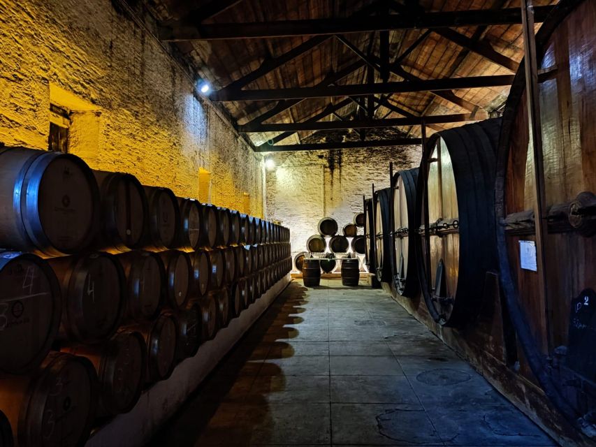 Douro Valley: (Pinhão) Quinta da Foz - Tour&Tasting 5 WINES - Production area tour: technical details explained in plain, human terms