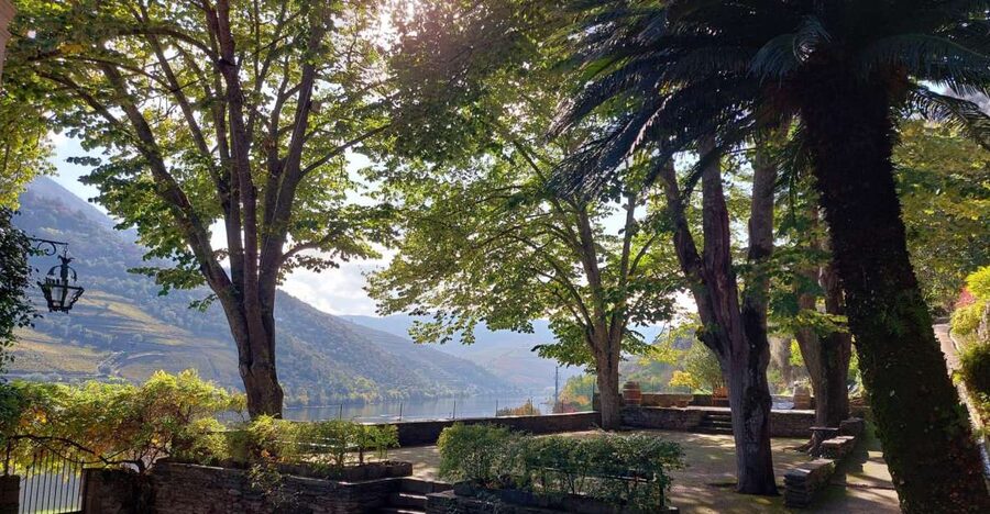 Douro Valley: (Pinhão) Quinta da Foz - Tour&Tasting 5 WINES - Tips that make your Quinta da Foz visit smoother