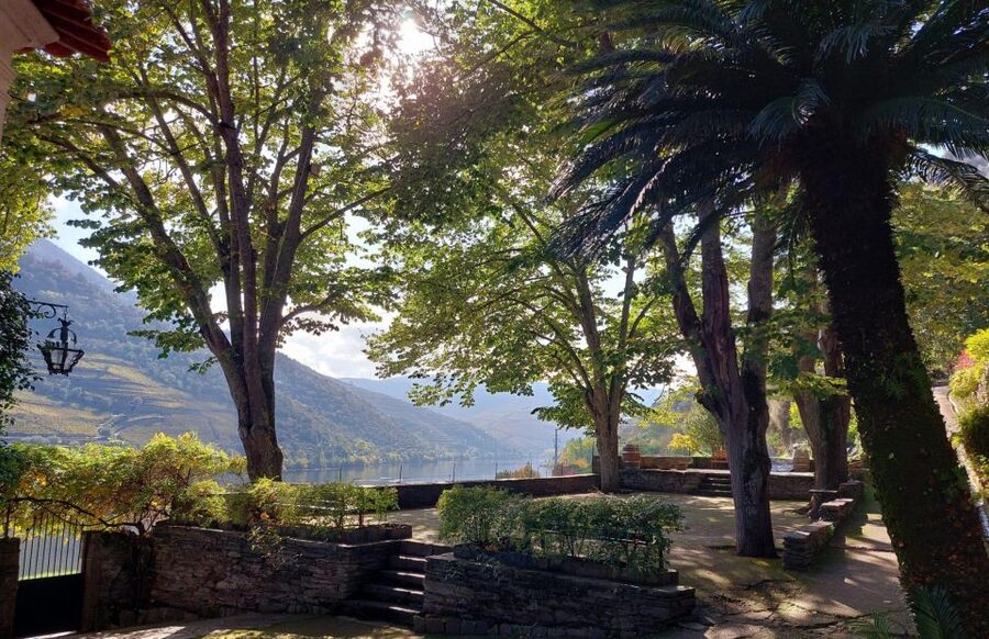 Douro Valley: (Pinhão) Quinta da Foz - Tour&Tasting 5 WINES - From vinification steps to a 5-wine tasting: the hour at a glance