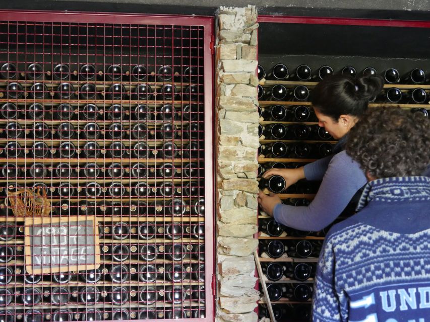 Douro Valley: Premium Port Tasting Winery Tour & River Views - Key things you will notice on this Douro tasting