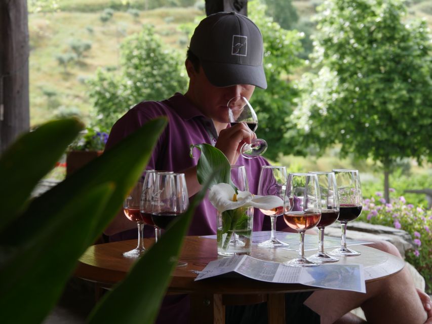 Douro Valley: Premium Port Tasting Winery Tour & River Views - Entering the Douro Valley, where wine is part of the view