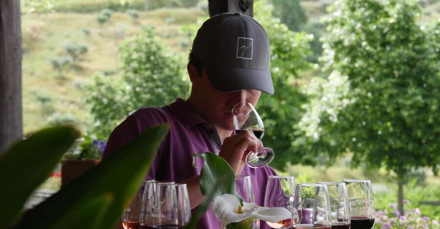 Douro Valley: Premium Port Tasting Winery Tour & River Views - Historic cellars and the aging story behind Port and DOC
