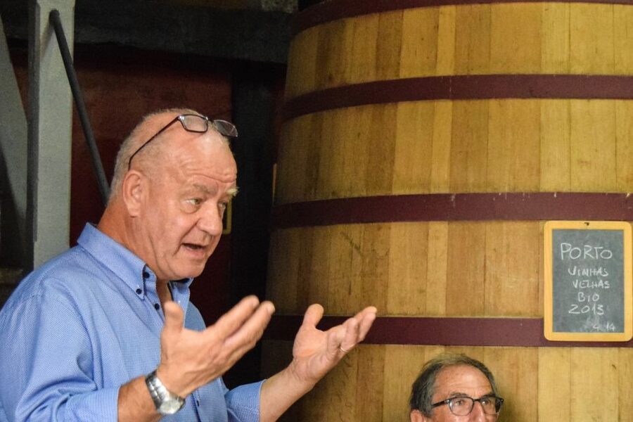 Douro Valley: Premium Port Tasting Winery Tour & River Views - Stone lagares and the foot-treading tradition
