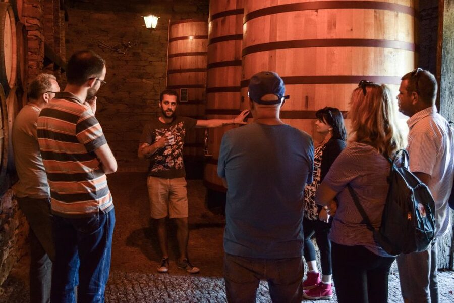 Douro Valley: Premium Port Tasting Winery Tour & River Views - Douro River viewpoints and a restored tasting room