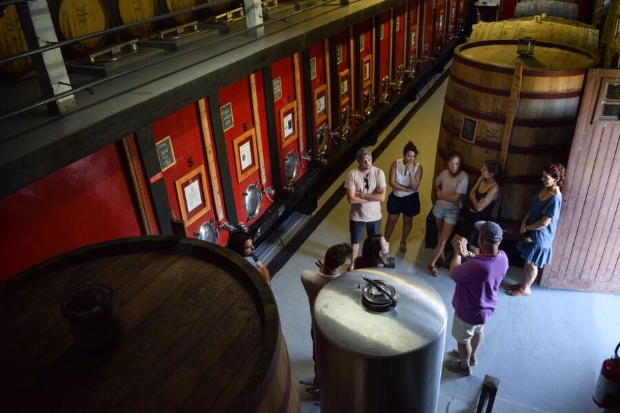 Douro Valley: Premium Port Tasting Winery Tour & River Views - Practical timing, language, and what to bring