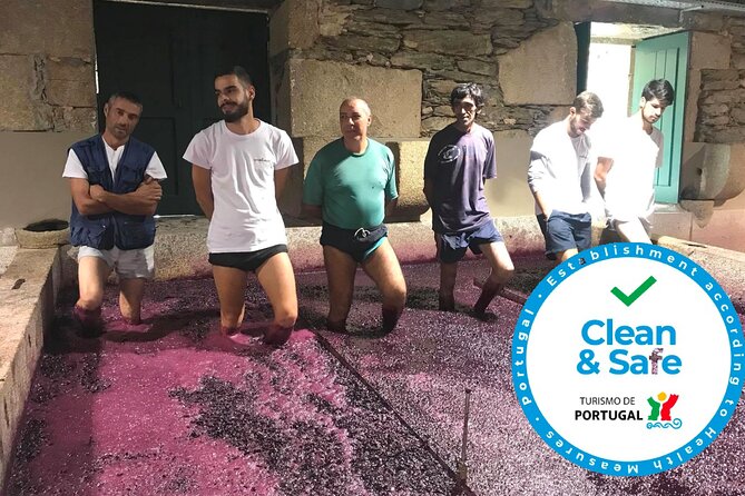 Douro Valley Premium Private - The Douro river cruise, why it changes the whole perspective