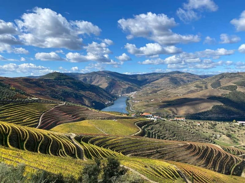 DOURO VALLEY: Premium Wine Tour, Winery Lunch & Private Boat - Pinhão and the 1-Hour Private Cruise: Snacks, Drinks, and a Breath of Air