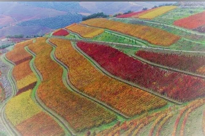 Douro Valley Premium with wine tasting lunch and boat - Who this Douro Valley Premium tour suits best