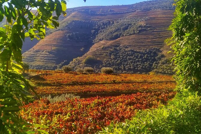 Douro Valley Prime Tour: Wine Tastings, Boat & Lunch from Porto - 8:15 Departure and the Drive You Will Feel