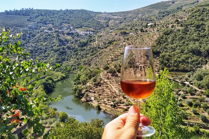 Douro Valley Prime Tour: Wine Tastings, Boat & Lunch from Porto - Quinta do Panascal: How Port Is Made, Not Just How It Tastes