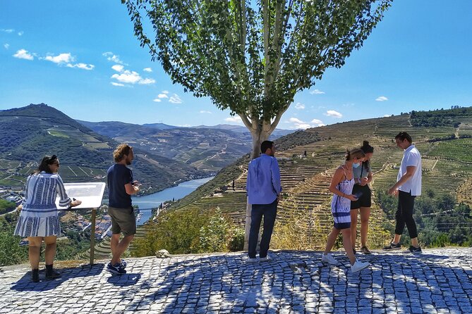 Douro Valley Prime Tour: Wine Tastings, Boat & Lunch from Porto - The Boat Cruise on the Douro: The Reset Button