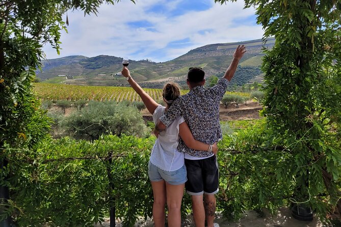 Douro Valley private day tour from Porto - Entering The Douro From Porto: Why This Format Works