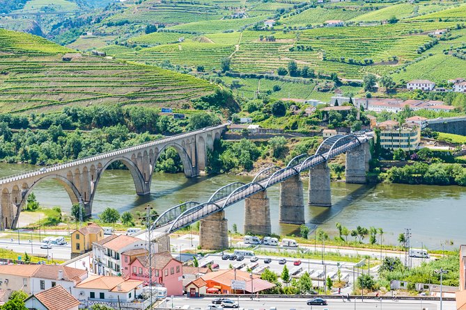 Douro Valley private day tour from Porto - Lunch and Pace: Staying Comfortable in an 8-Hour Day
