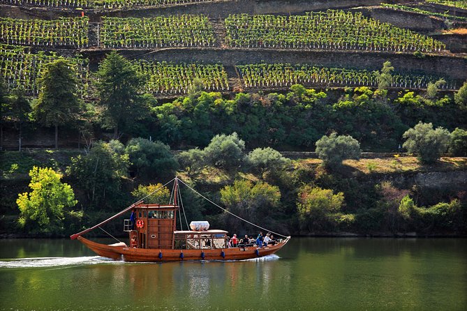 Douro Valley private day tour from Porto - Private Vehicle, Shared Stops: The Honest Trade-Off