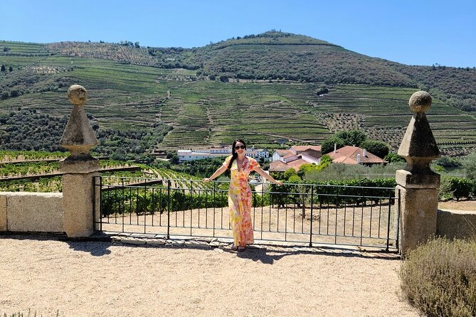 Douro Valley-Private Experience-Specialized Guide, Lunch, Boat,wineries,tastings - Pinhão Railway Station: Hand-Painted Tiles, Explained