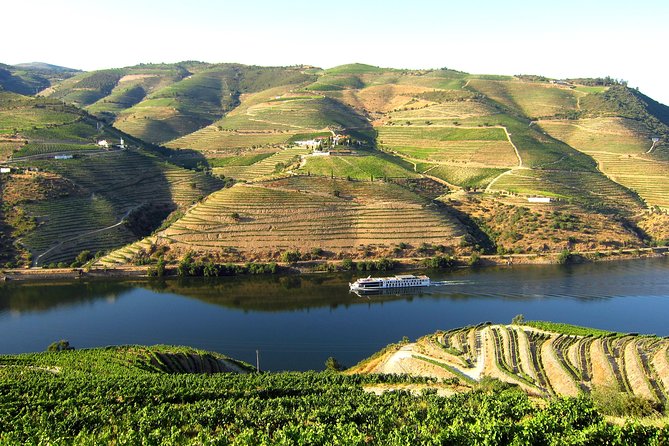 Douro Valley Private Full–Day Tour from Porto - Private Porto pickup that buys you real time in the Douro