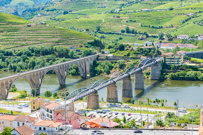 Douro Valley Private Full–Day Tour from Porto - Quinta de São Luís wine tasting with that “now I get it” feeling