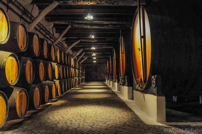 Douro Valley Private Full–Day Tour from Porto - CMTour Douro Valley: your quick orientation stop