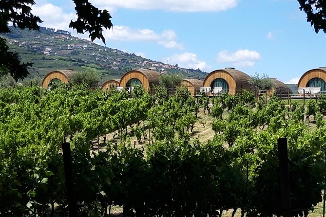 Douro Valley Private Premium Tour with Wine Tasting (1 to 4 people) - Pinhão and the Rabelo boat ride: river views plus tiled history