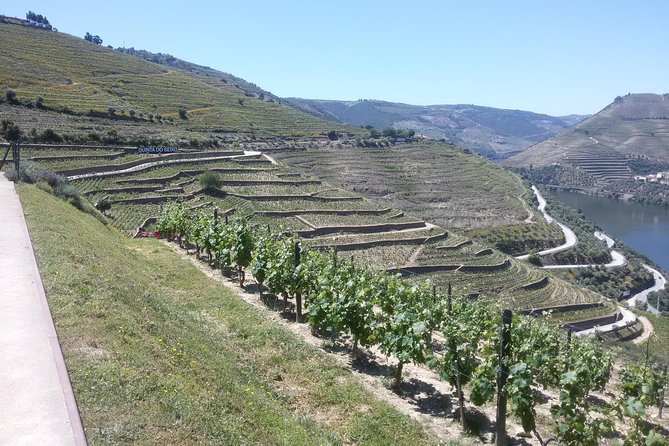Douro Valley Private Premium Tour with Wine Tasting (1 to 4 people) - The drive on National Road 222: why this scenic stretch matters