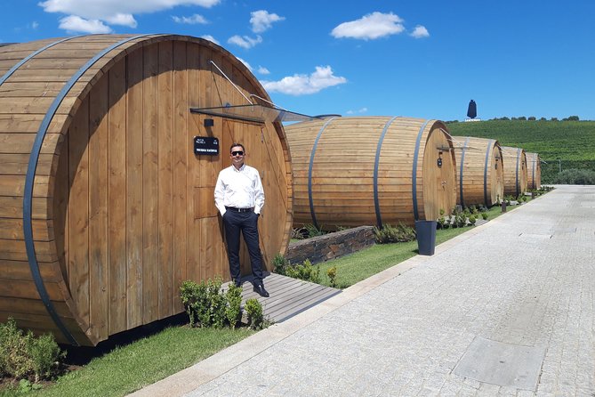 Douro Valley Private Premium Tour with Wine Tasting (1 to 4 people) - Lamego wineries and lunch: where the wine time actually happens