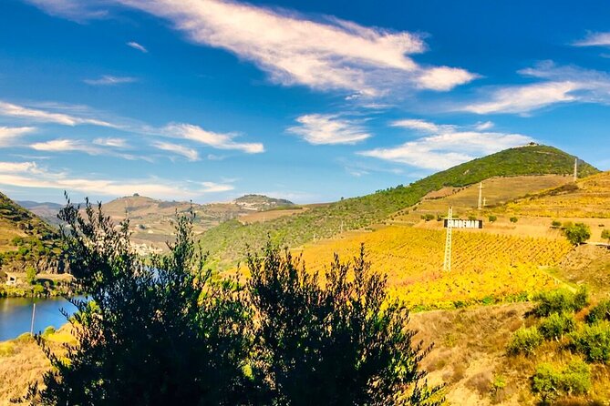 Douro Valley Private Tour: 2 Farms, Lunch & Boat Trip - Key things that make this tour worth your time