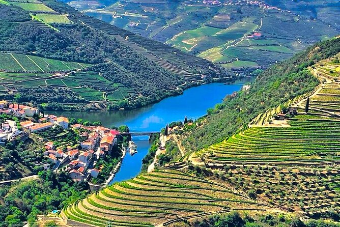 Douro Valley Private Tour: 2 Farms, Lunch & Boat Trip - What Makes This Private Douro Day Feel Custom