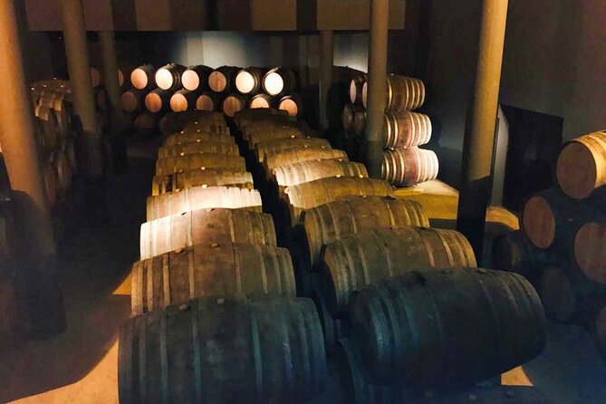 Douro Valley Private Tour: 2 Farms, Lunch & Boat Trip - Vale do Douro Farm Visit: Wine, Olive Oil, and Honey Tasting