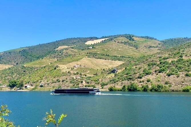 Douro Valley Private Tour: 2 Farms, Lunch & Boat Trip - Price and What You Actually Pay For
