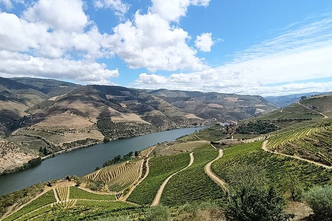 Douro Valley Private Tour - Return to Porto and planning your evening
