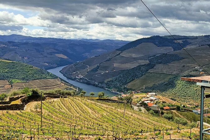 Douro Valley Private Tour - Price and value: is $348.96 per person fair for this day?