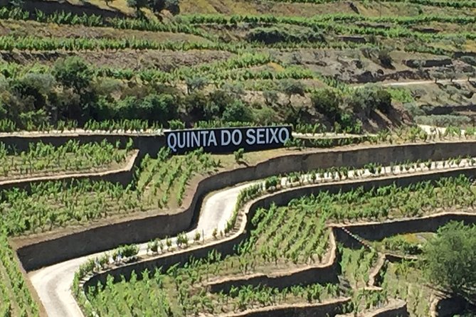 Douro Valley Private Tour from Oporto - Private Douro Valley Day From Porto: timing, transport, and comfort