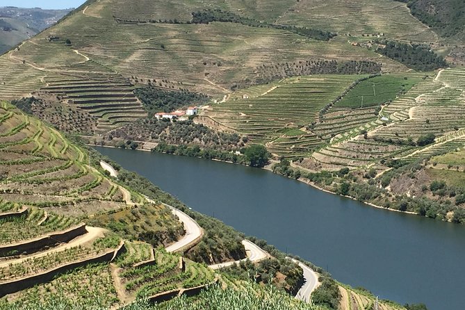 Douro Valley Private Tour from Oporto - Pinhão Railway Station tiles: why this stop feels like a museum without lines