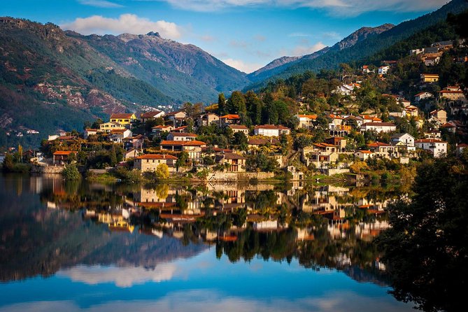 Douro Valley Private Tour from Oporto - Price and value: is $307.05 per person worth it?