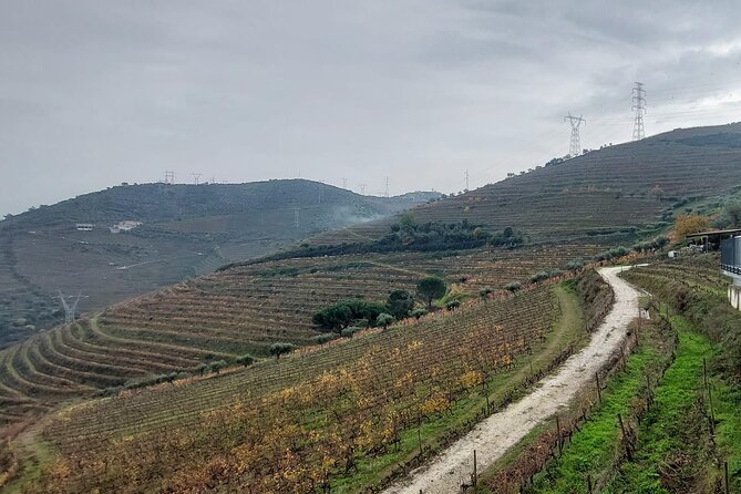 Douro Valley private tour full day - Casal de Loivos viewpoint, when you want the classic view