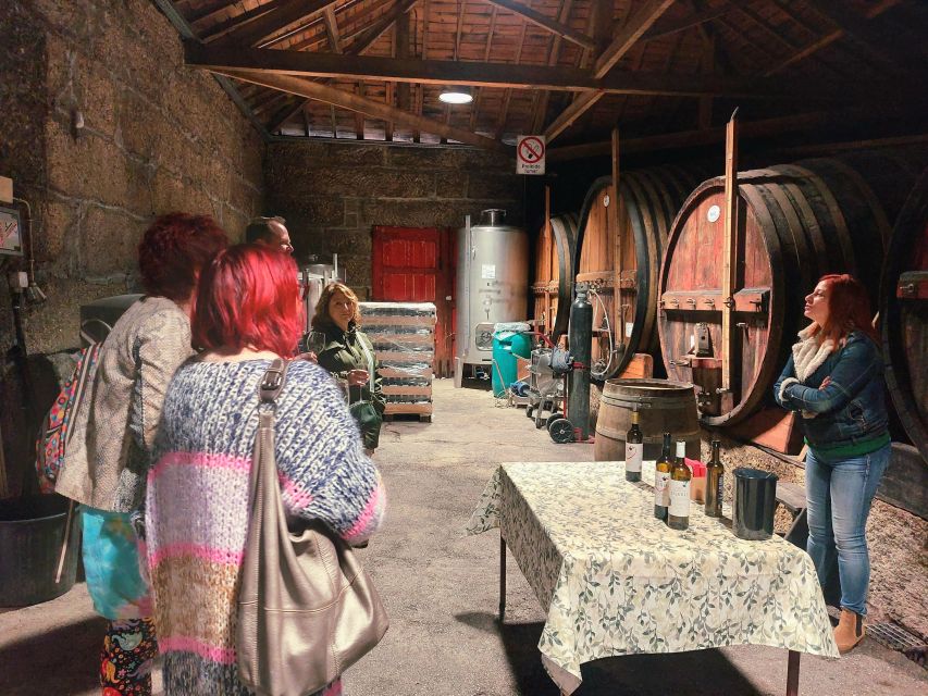 Douro Valley private tour & wine experience including lunch - Two Wineries, Two Styles of Taste: What You Actually Learn