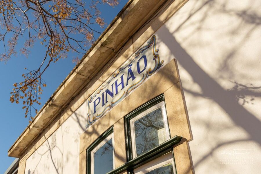 Douro Valley private tour & wine experience including lunch - National Highway 222 Views: Where the Photos Start to Make Sense