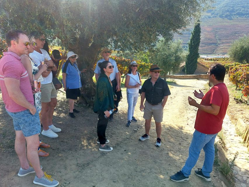 Douro Valley private tour & wine experience including lunch - Porto Pickup to Douro Valley Roads: Why the Van Changes Everything