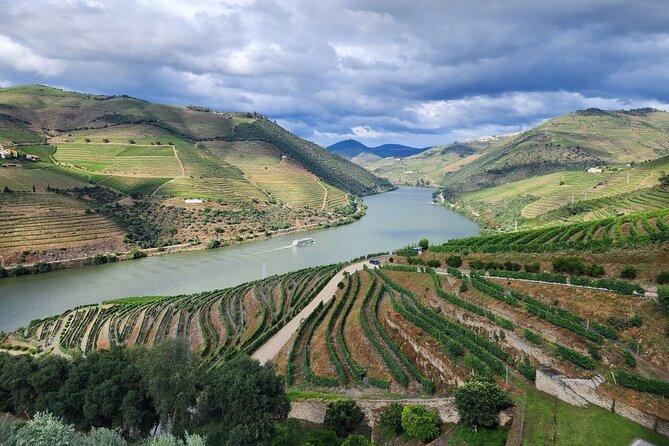 Douro Valley Private Tour (winery + boat + viewpoint) - Private transportation and timing: 4 to 5 hours without the stress